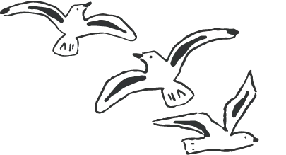 Birds Image